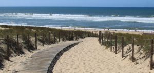 Le grand Sud-Ouest : Les Landes plurielles