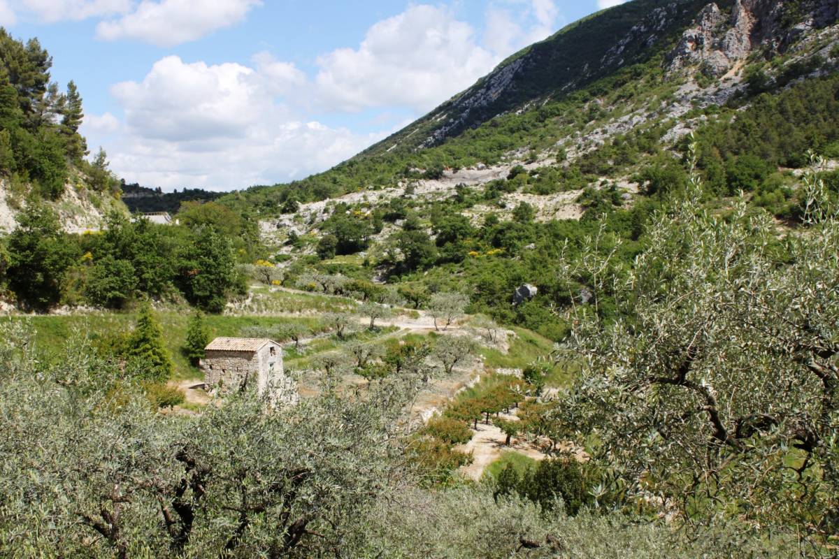 Escapade en Drôme provençale, pays de la Truffe