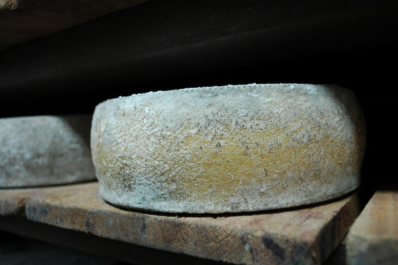 La Mayenne des fromages © Judith LossmannVacances en France : Gastro-nomade en Mayenne !