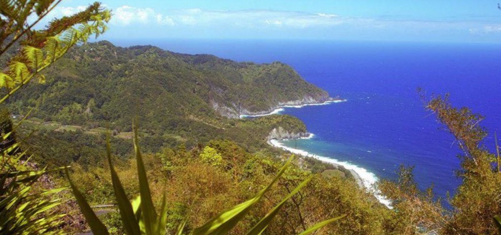10 bonnes raisons de découvrir l’île de la Dominique