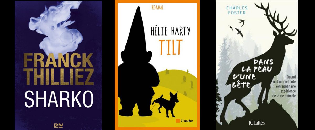 Lecture d’automne : Thilliez, Harty, Foster