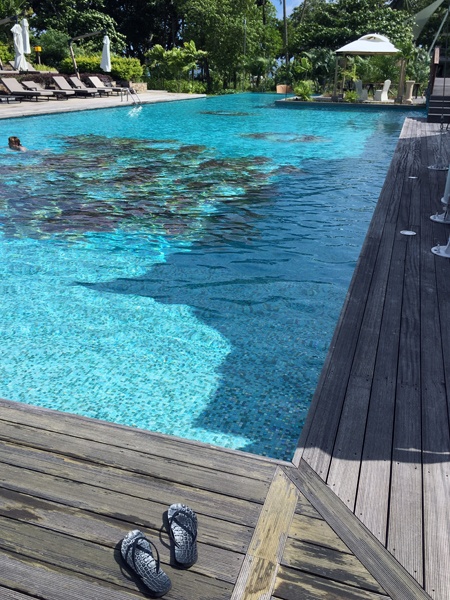 seychelles piscine savoy 1510