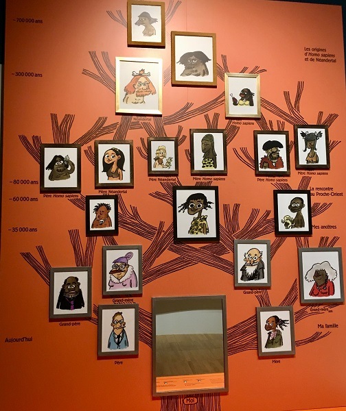 neandertal arbre genealogique