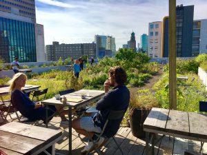 Manger sur les rooftops à Rotterdam ©JL