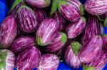 Chez Jean Martin, l’aubergine passe du champ à l’assiette