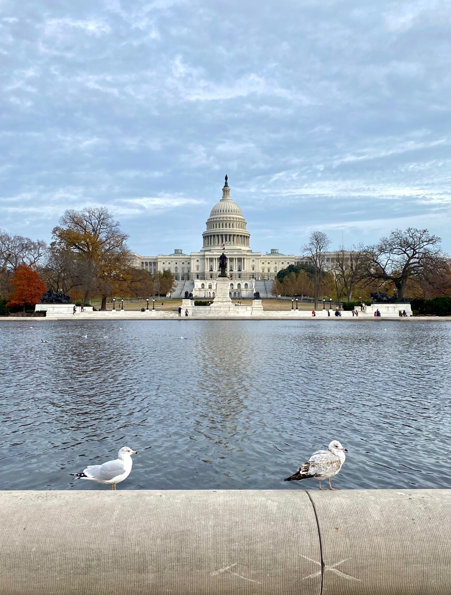 Série USA – Découvrir la région de la capitale des États-Unis – Washington Memorial