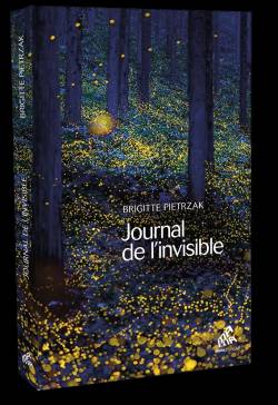 JOURNAL DE L'INVISIBLE DE BRIGITTE PIETRZAK