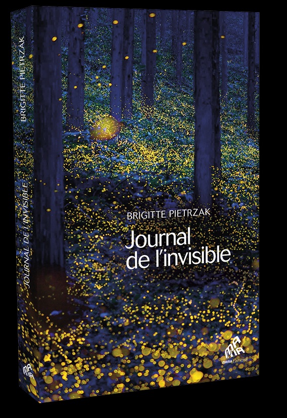 Journal de l’invisible de Brigitte Pietrzak