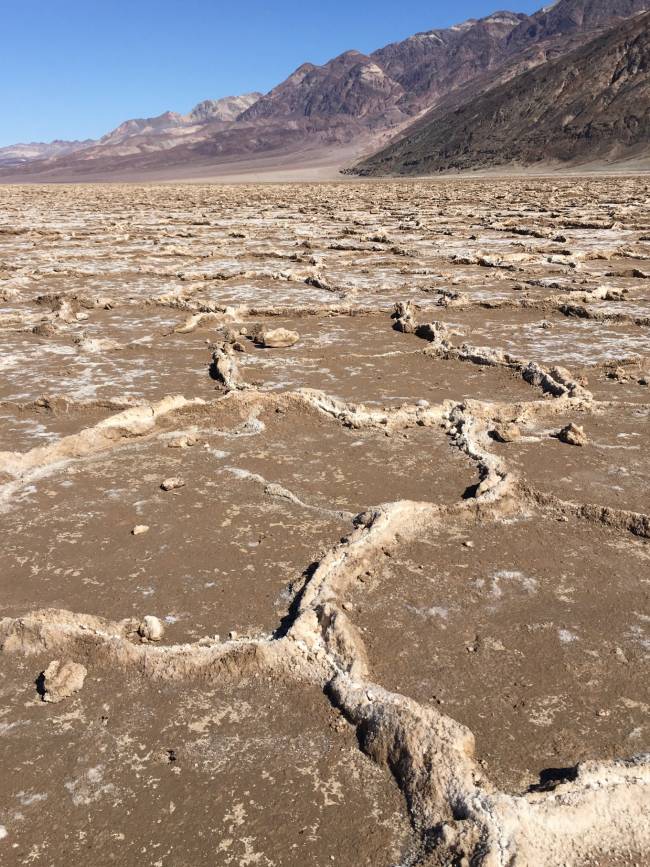 Nevada-Death Valley-terres salées-6743