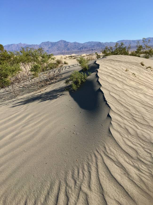 Les dunes Death Valley