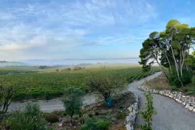 Aude paysage au lever du soleil.