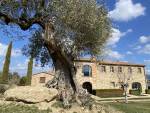 Toute l’âme de la Toscane dans les villas magiques Casali di Casole