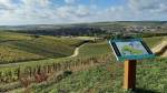 Fascinants week-ends en pays de Chablis