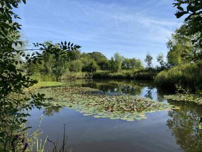 jardin-francois Perche