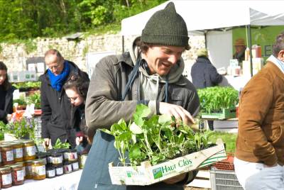 un homme jeune avec un bonnet vert tient une cagette remplie de plans de plantes