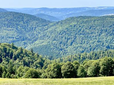 Panoramique sur les Hautes Vosges