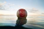 Wilson, le ballon meilleur ami de Tom Hanks, enfin retrouvé aux Iles Fidjis. L’histoire finit bien 25 ans plus tard. Ouf !