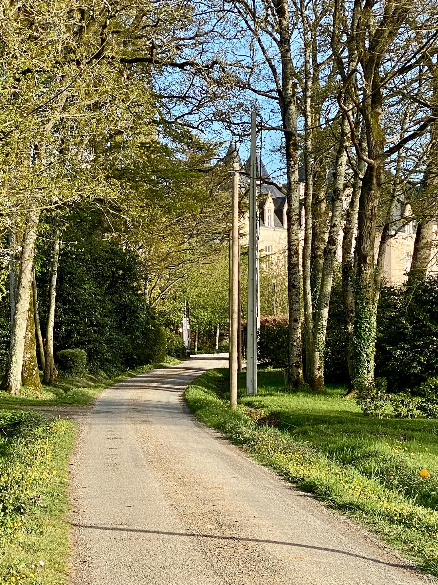 l'allée boisée conduit au chateau des Tesnières